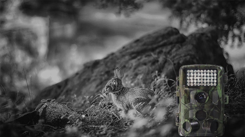 Wildlife Hunting Trail Camera Outdoor Surveillance