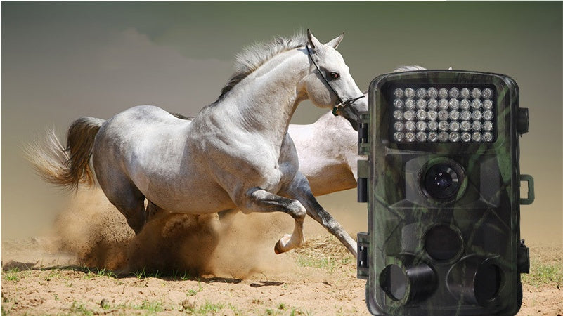Wildlife Hunting Trail Camera Outdoor Surveillance